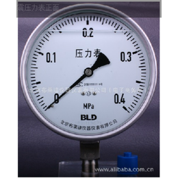 不锈钢压力表YTN-100H布莱迪现货北京销售