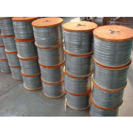 嘉祥不锈钢丝绳厂家,滨州不锈钢丝,天大不锈钢(图)