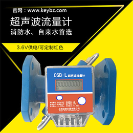 厂家*管道式超声波流量计上海佰质仪器仪表有限公司