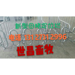 出售养殖设备母猪*栏的生产厂家在沧州