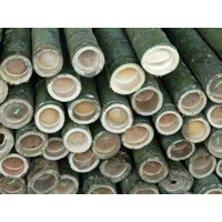 竹材的构造有哪些？竹材有哪些物理性质？