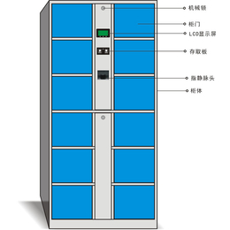 寄存柜储物柜,花都寄存柜,强固