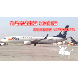 机场物流电话 青岛海鲜空运价格 机场空运咨询电话