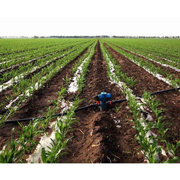 安徽安维公司(图)、农业滴灌设备、合肥滴灌