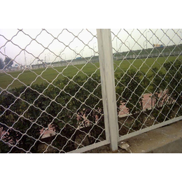 南通明翰美格网防盗窗 车间隔断网 小区围栏网 园林防护网