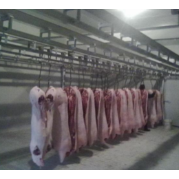 兰州市肉类冷藏冷库厂家建设 找安徽雪坊制冷