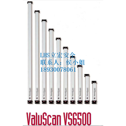 VS6500测量扫描仪LHS立宏整体安全解决方案