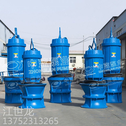 QZB潜水轴流泵生产厂家