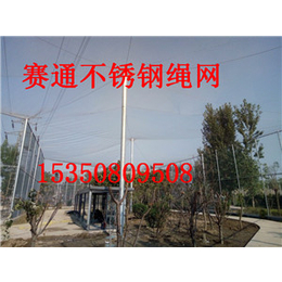 供应四川不锈钢绳网 桥梁用不锈钢防护网厂家
