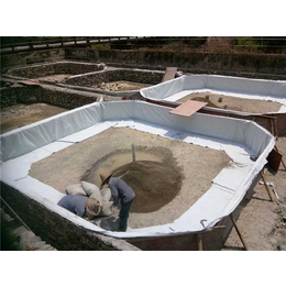复合土工膜厂家  |华创工程(在线咨询)|复合土工膜