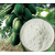 超凡食品级木瓜蛋白酶 木瓜蛋白酶作用缩略图3