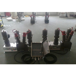 西安红光电气HZW32-12高压双电源自动切换高压真空断路器