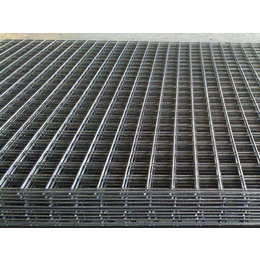 安平腾乾(图)|浸塑电焊网*商|浸塑电焊网