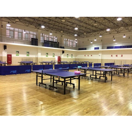 甘孜乒乓球木地板、睿聪体育设施、乒乓球木地板翻新