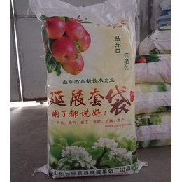 塑膜苹果袋,莒县常兴果袋,塑膜苹果袋低价出售