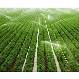 蔬菜喷灌系统、合肥蔬菜喷灌、安徽安维公司(查看)