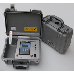 热导便携式气体分析仪|便携式气体分析仪|北京东分科技