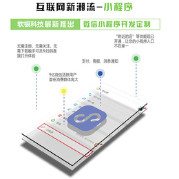 山东小程序代理哪家好 |聊城小程序代理|【软银科技】