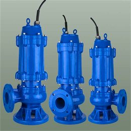 污水潜水泵|固原潜水泵|远工泵业