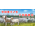 北京吃宁夏盐池滩羊北京盐池滩羊销售缩略图1