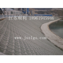 雅安模袋|模袋混凝土|江苏顺利水下工程有限公司