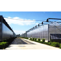 阳光板温室遮阳系统设备,齐鑫温室园艺,阳光板温室