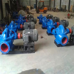 灌溉双吸泵(图)|250s65双吸泵|鹤壁双吸泵