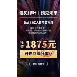 苏州绿叶加盟能做吗