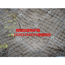环形边坡防护网供应商,湛江环形边坡防护网,环形边坡防护网厂家