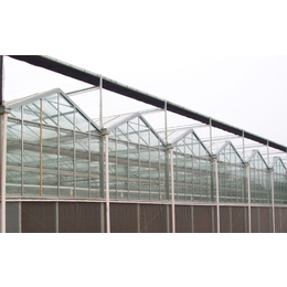 中空钢化玻璃温室、钢化玻璃、青州齐鑫温室(查看)