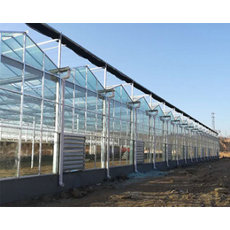 水培蔬菜玻璃温室大棚、忻州玻璃温室大棚、益兴诚钢构温室工程