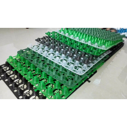 欢迎光临-沧州绿化排水板厂家+沧州1.8公分塑料排水板价格