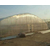 农业温室,合肥温室,安徽农友温室缩略图1