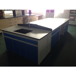 不锈钢实验桌、华巨升实验室系统设备(在线咨询)、实验桌