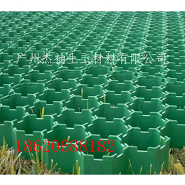珠海香洲 5公分塑料植草格 聚乙烯植草格 厂价*
