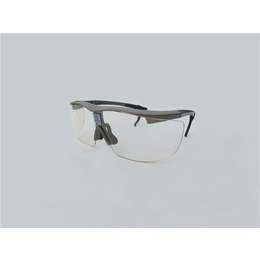射线防护眼镜供应_*医疗器械(在线咨询)_四平射线防护眼镜