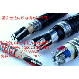 铝合金铠装电缆|长寿铝合金电缆|重庆世达电线电缆有限公司