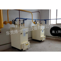 东莞市液化气汽化炉形象企业LPG化气炉壁挂厂家供货