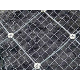 祥驰(图)|重庆边坡防护网|边坡防护网