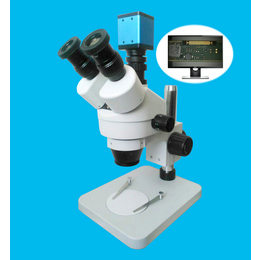 厦门量测型显微镜、领卓、测量显微镜