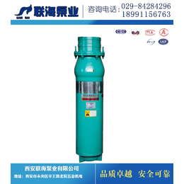 宁夏潜水泵厂家|山西解州水泵陕西*(在线咨询)|潜水泵厂家
