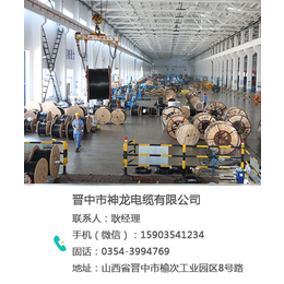 神龙电缆(多图)|制作高压电缆|忻州高压电缆