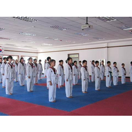 南岸区跆拳道培训,重庆名扬武术学校,中学生跆拳道培训