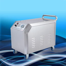 尚铸机械(图),即热式蒸汽洗车机,河北蒸汽洗车机