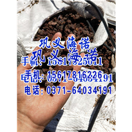 厂矿*价(图),火山岩滤料报价,海盐县火山岩滤料