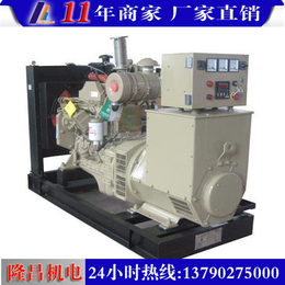 柴油发电机组型号|隆昌机电(在线咨询)|河池柴油发电机