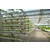 合肥建野(在线咨询)|安徽大棚|蔬菜大棚建造缩略图1