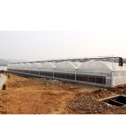 安徽薄膜温室,合肥建野温室工程(图),连栋薄膜温室报价