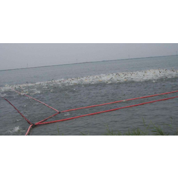 抬网充气抬网在水库湖泊江河里捕捞多年的底层鱼前景看好缩略图