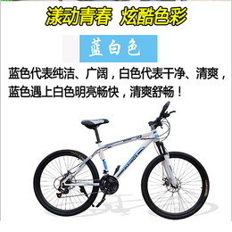 26寸自行车批发、上海自行车批发、建林自行车厂(查看)